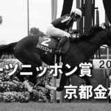 第60回スポーツニッポン賞京都金杯（GⅢ）攻略データ（3）
