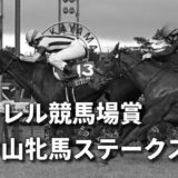 第40回ローレル競馬場賞中山牝馬ステークス（GⅢ）攻略データ（1）